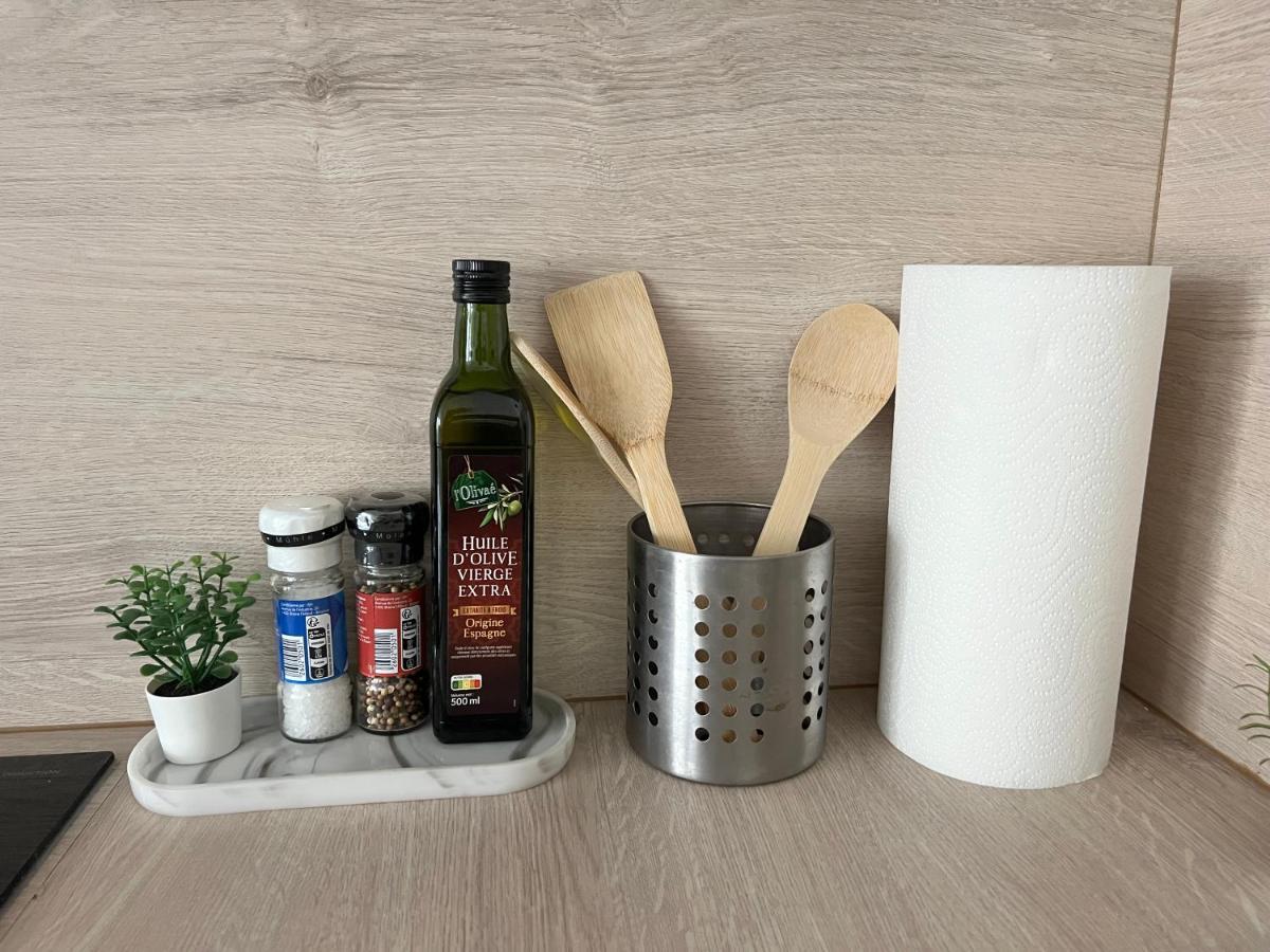 Appart Cosy Cdg Paris Parc Expo Asterix Apartman Dammartin-en-Goele Kültér fotó