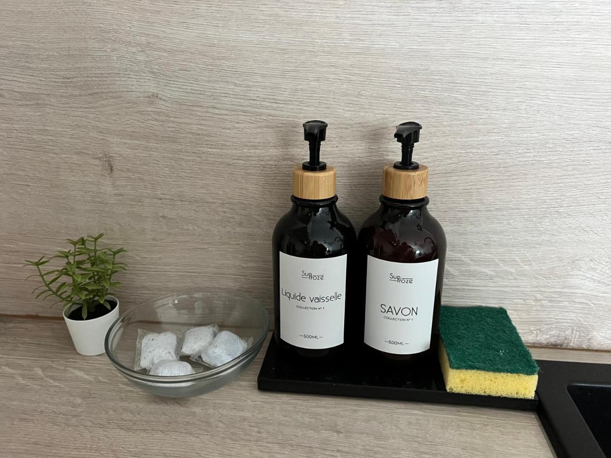 Appart Cosy Cdg Paris Parc Expo Asterix Apartman Dammartin-en-Goele Kültér fotó